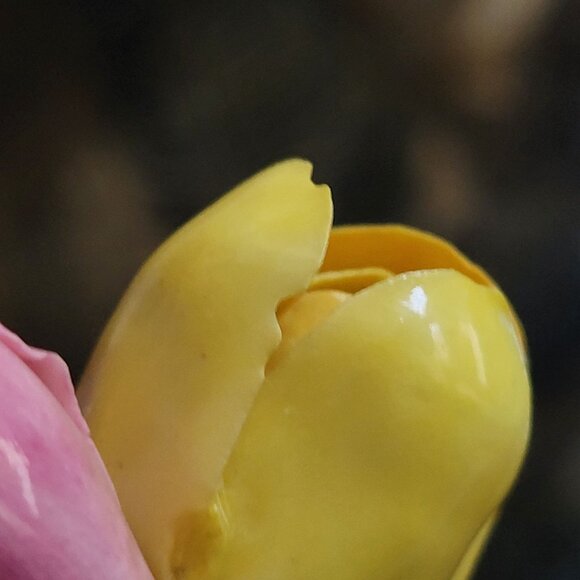 Vtg Heathcote and Hall Small Vase W/ Pink Purple Yellow Flowers Made In England - Picture 7 of 7